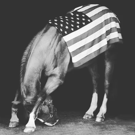 OnlyFans cuenta rebel_country header 2