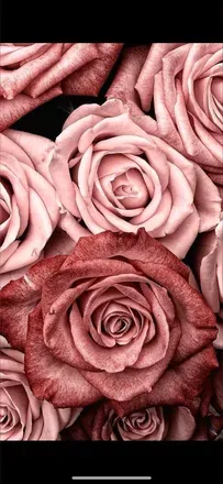 OnlyFans cuenta wutisluvv header 2