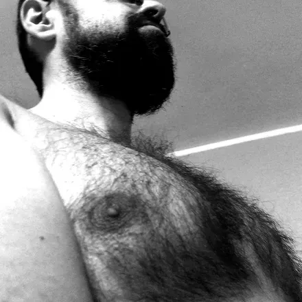 OnlyFans cuenta hairyteddy76 avatar 1