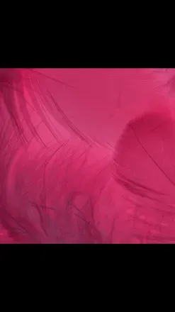 OnlyFans account  vallier_louisex header 2