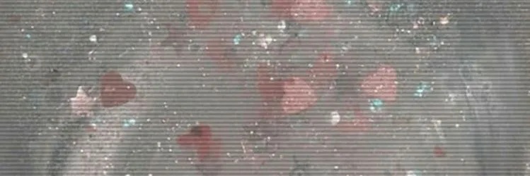 OnlyFans cuenta parisandlondon header 2