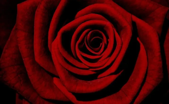 OnlyFans cuenta only_marry header 2
