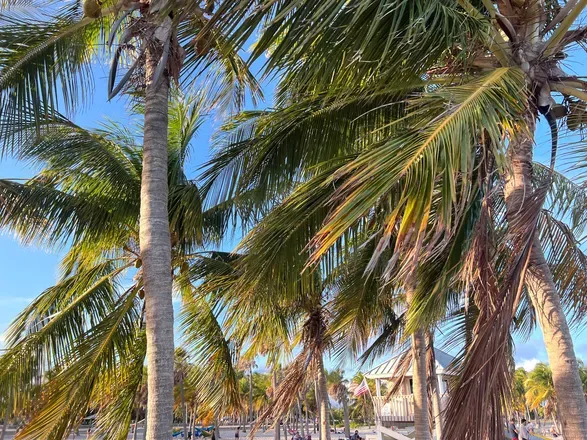 OnlyFans cuenta hotrussian1 header 2