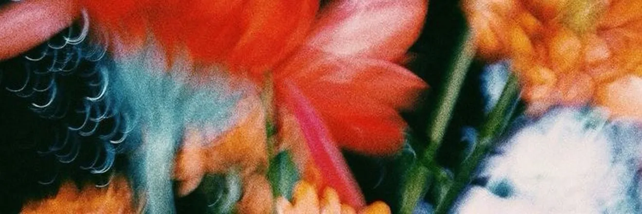 OnlyFans account  tabithasbrain header 2