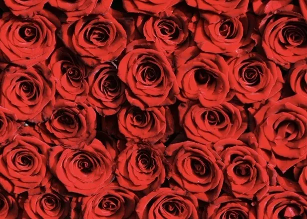 OnlyFans cuenta natashaa.bankss header 2
