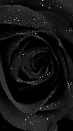 OnlyFans cuenta thirtytwo_flavors header 2