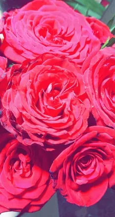OnlyFans account  esmevar21 header 2