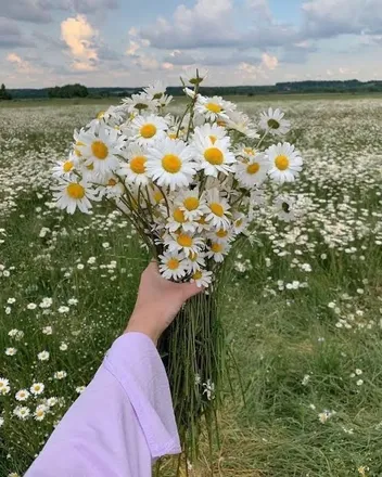 OnlyFans account  mae_daisymae header 2