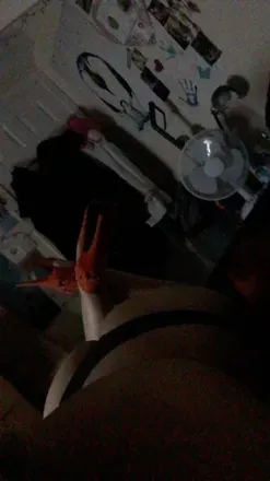 OnlyFans cuenta onlynishaxx avatar 1