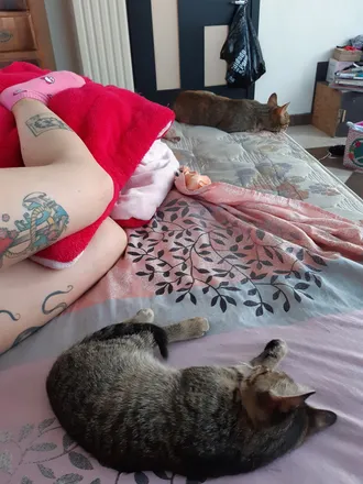 OnlyFans cuenta cheetachan96 header 2