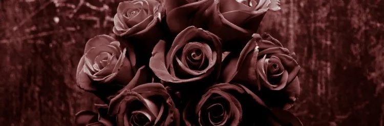 OnlyFans cuenta chastittyrose header 2