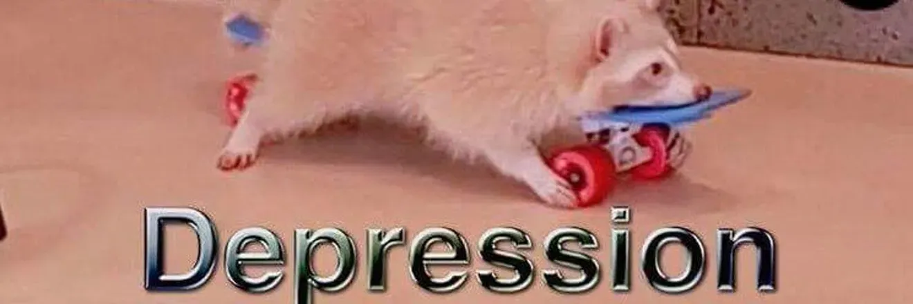 OnlyFans account  feeerle header 2