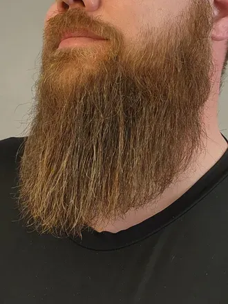 OnlyFans cuenta thebeardlove avatar 1