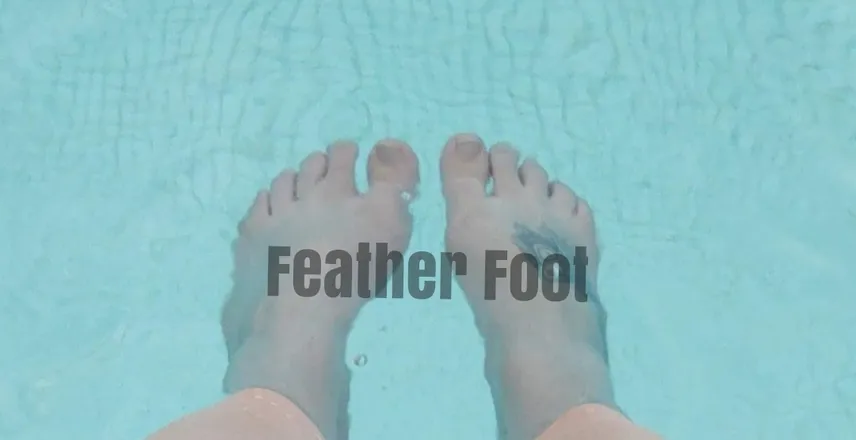 OnlyFans cuenta feather_foot header 2