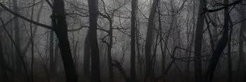 OnlyFans cuenta lilithxmae header 2