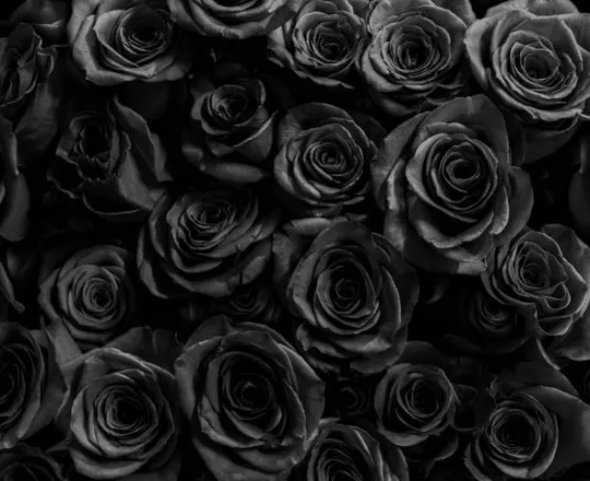 OnlyFans cuenta rio.0vip header 2