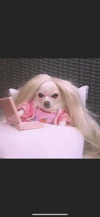 OnlyFans cuenta zluttygummybear header 2