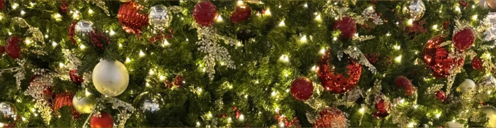 2024-12-12 photo 1