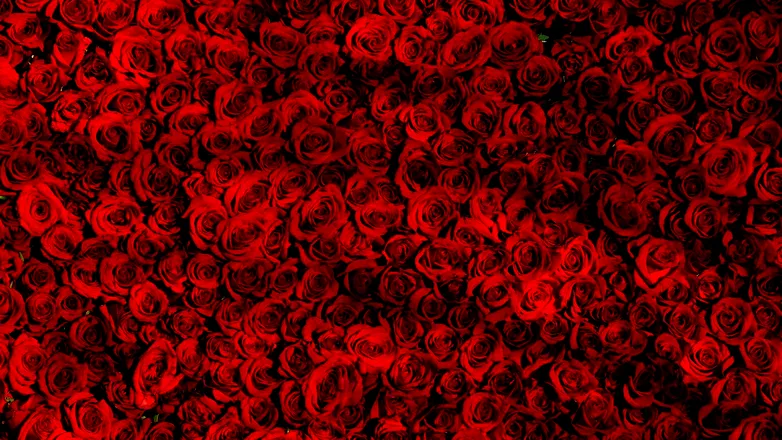OnlyFans cuenta iamfukaiseikou header 2