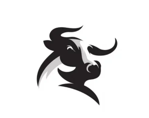 OnlyFans cuenta thickbullforyou header 2