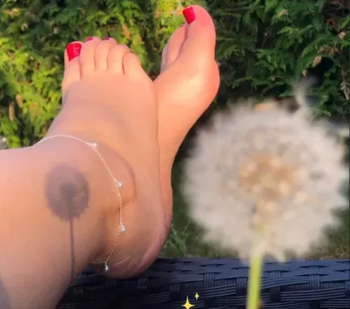 OnlyFans account  malaste avatar 1