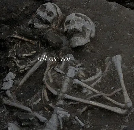 2026-01-02 photo 1