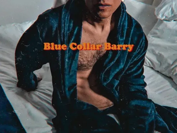 OnlyFans cuenta bluecollarbarry avatar 1