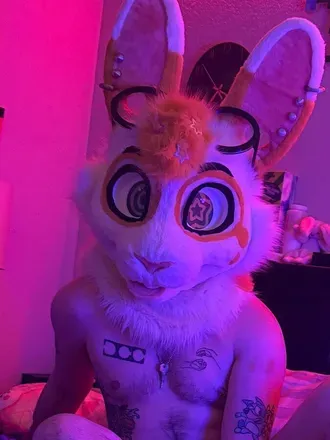 OnlyFans cuenta breedingbunnyy avatar 1