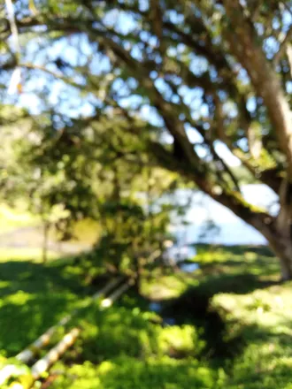 OnlyFans cuenta mariana_010 header 2