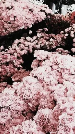 OnlyFans cuenta maciibaby header 2