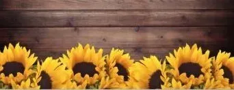 OnlyFans cuenta miannaline header 2