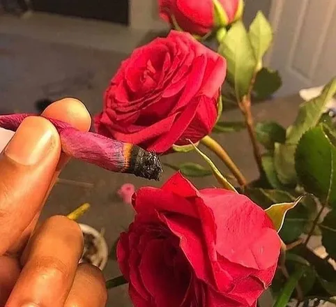 OnlyFans cuenta dey4200 header 2