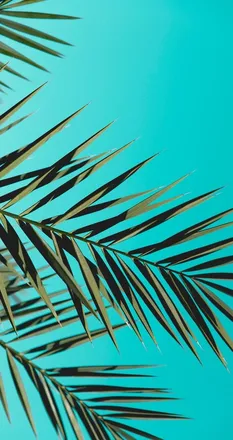 OnlyFans cuenta nofacegiiirl header 2