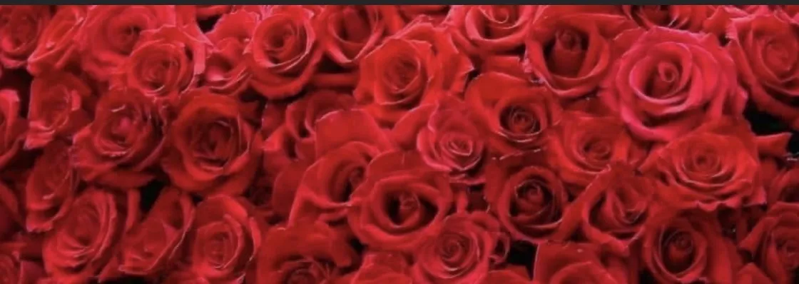OnlyFans cuenta vincejp420 header 2