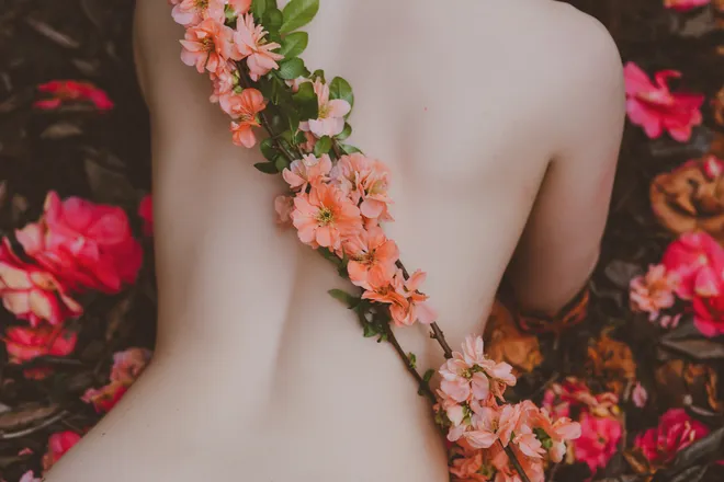 OnlyFans cuenta vauntasticvideo header 2