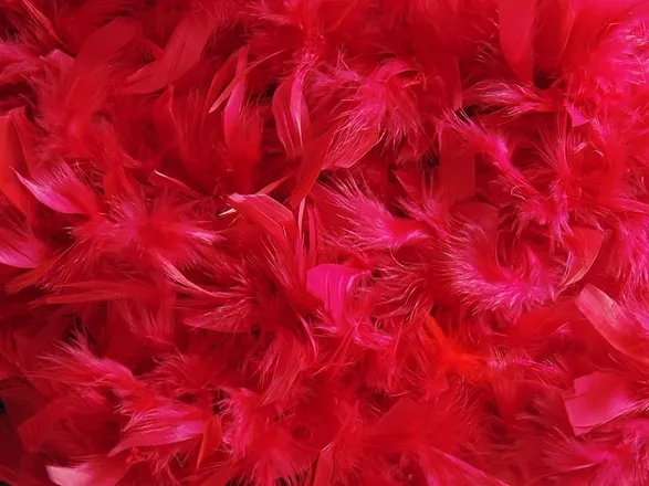 OnlyFans cuenta diina_doll header 2