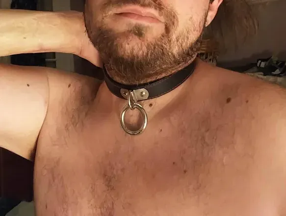 OnlyFans cuenta sexyyfox avatar 1
