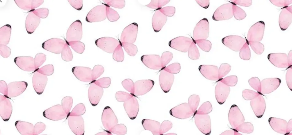 OnlyFans cuenta lindseymadison header 2