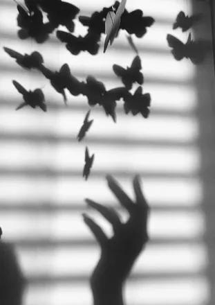 OnlyFans cuenta feetsbutterfly header 2