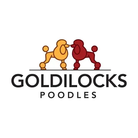 OnlyFans cuenta goldilockspoodles avatar 1