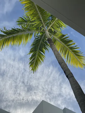 OnlyFans account  shaeside header 2
