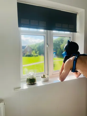 OnlyFans cuenta kaipup22 header 2