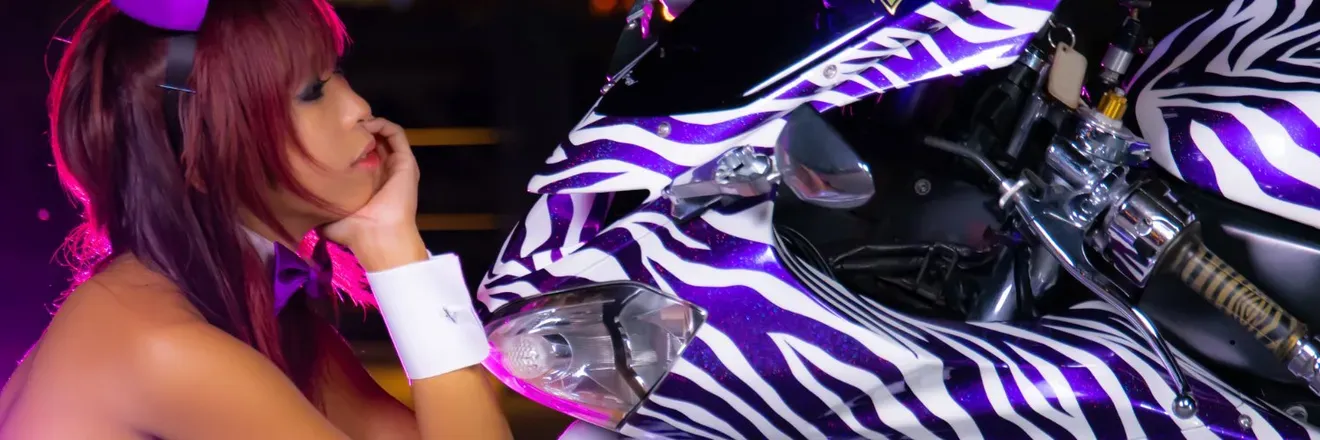 OnlyFans cuenta zebra_zx10r header 2