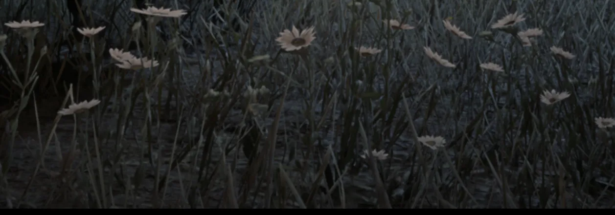 OnlyFans cuenta vintagexchrysanthemum header 2