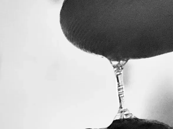 OnlyFans cuenta thatenglishgentleman header 2
