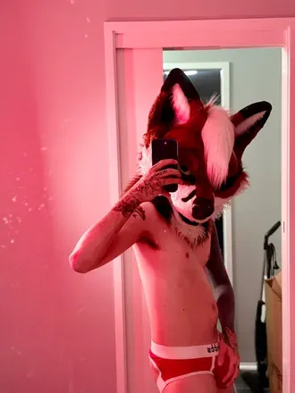 OnlyFans cuenta xerothearcticfox avatar 1