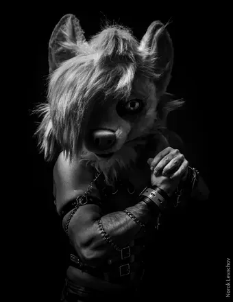 OnlyFans cuenta wolfinyellow avatar 1
