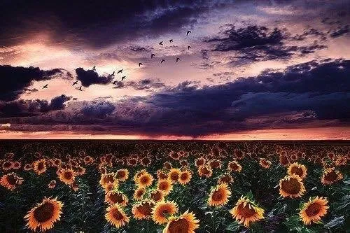 OnlyFans cuenta killerqueenrfree header 2