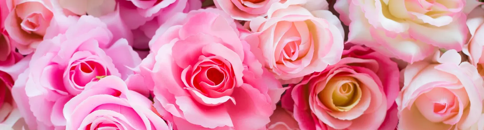OnlyFans cuenta pink-rose header 2