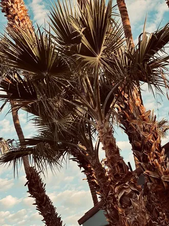 OnlyFans cuenta dancingwithdelaney header 2